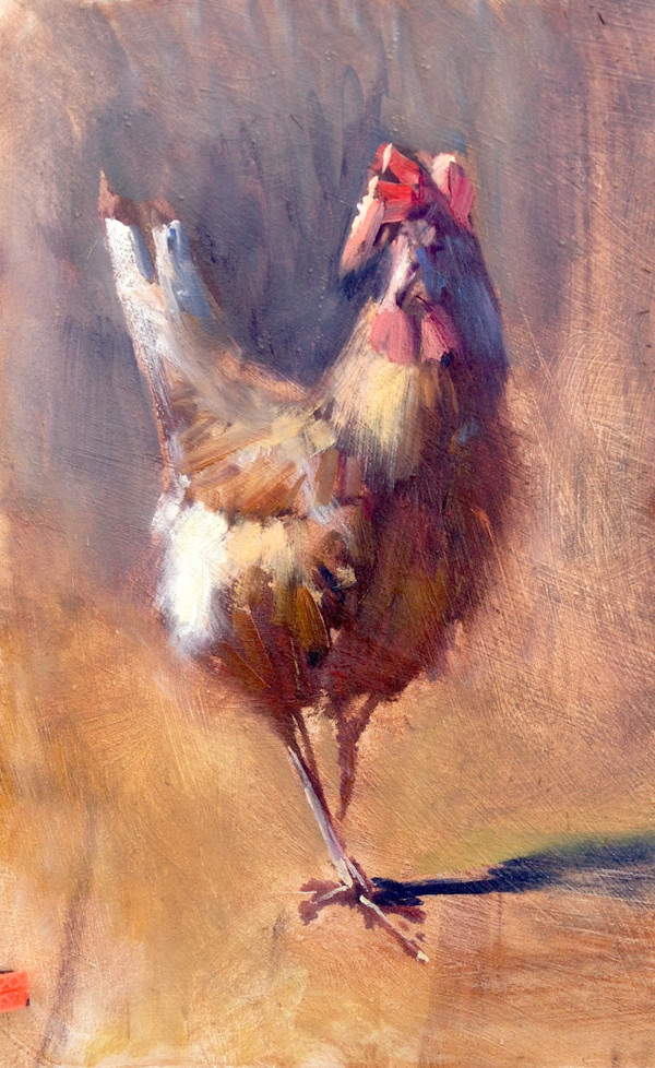 Cock Study