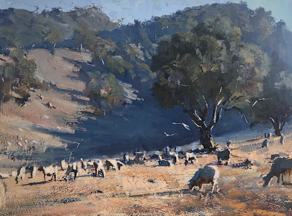 Early Morning Sheep