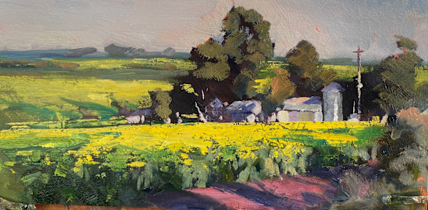 Canola Fields by Leon Holmes