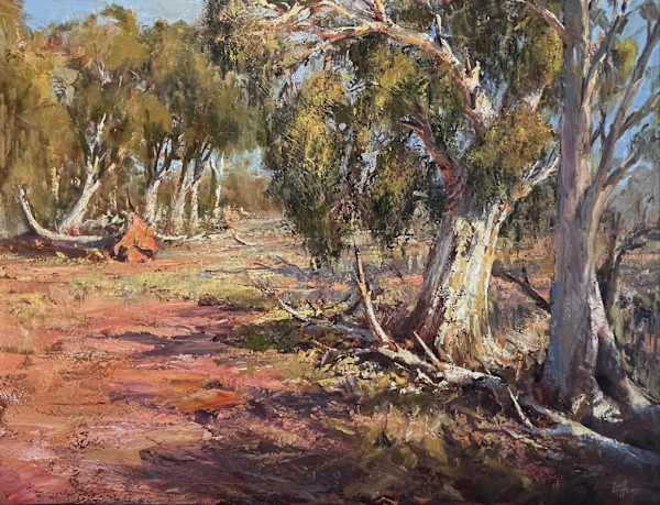 Wandoo Wandering