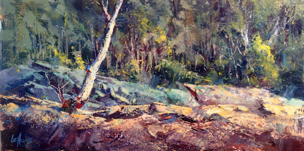 Mossy River Rocks
