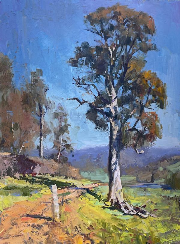 Caraholly Views by Leon Holmes