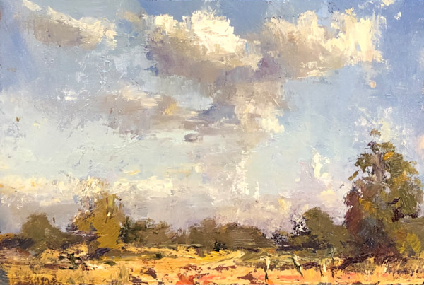 Field Sketch