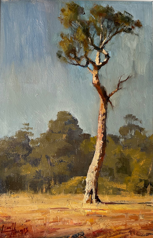 Country Boy by Leon Holmes