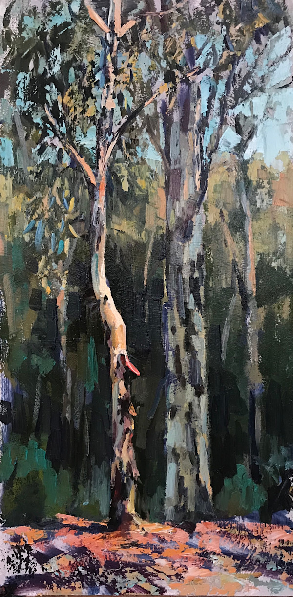 Little Eucalyptus