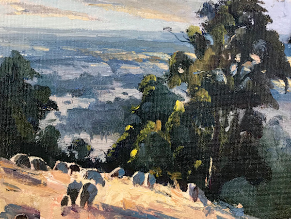 Sheep On Hill
