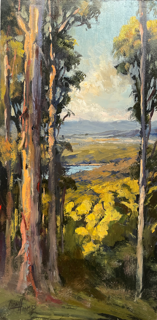 Valley Views by Leon Holmes