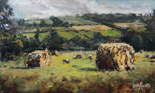 Haybales Ireland by Leon Holmes