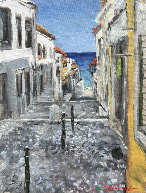 Plein View in Sesimbra Alley by Sharon Rusch Shaver