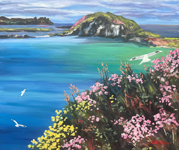 Ireland Gulls by Sharon Rusch Shaver