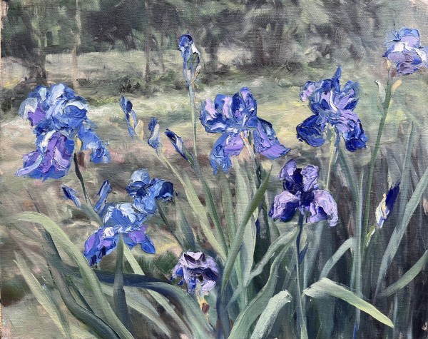 Plein Blue Iris by Sharon Rusch Shaver