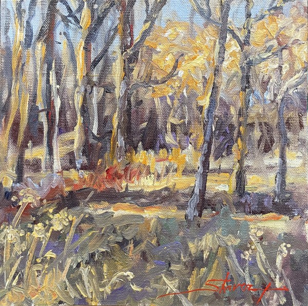 Plein Fall Woods by Sharon Rusch Shaver
