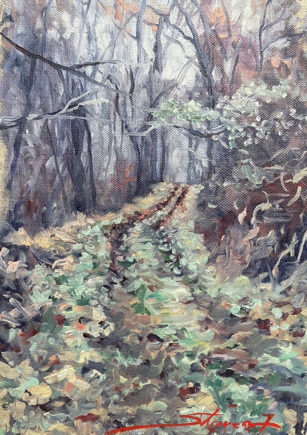 Farm Woods by Sharon Rusch Shaver