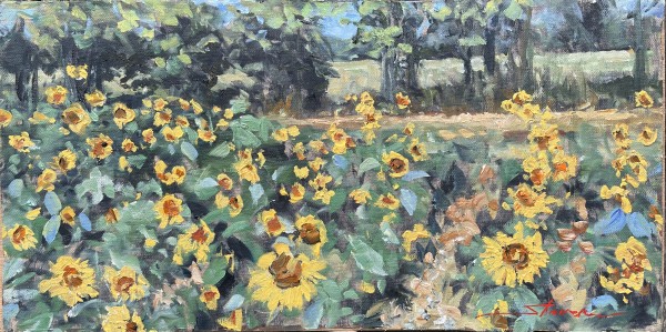 Plein Sunflower Field by Sharon Rusch Shaver