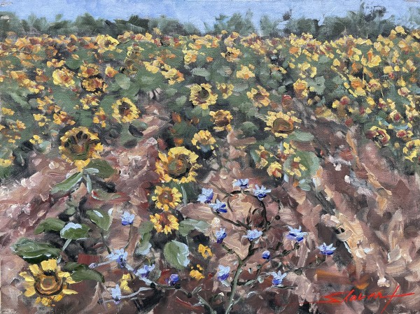 Plein Corn Blue and Sunny by Sharon Rusch Shaver