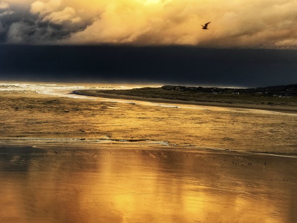 Storm Over Alsea Bay by Sandy Brown Jensen