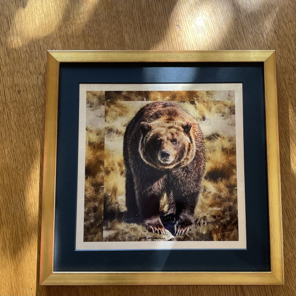 Solid Gold Grizzly of Denali 10.5 x 10.5