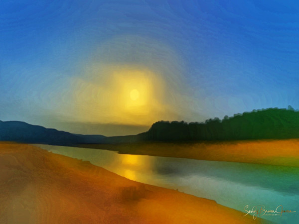 Shadow of the Sun by Sandy Brown Jensen
