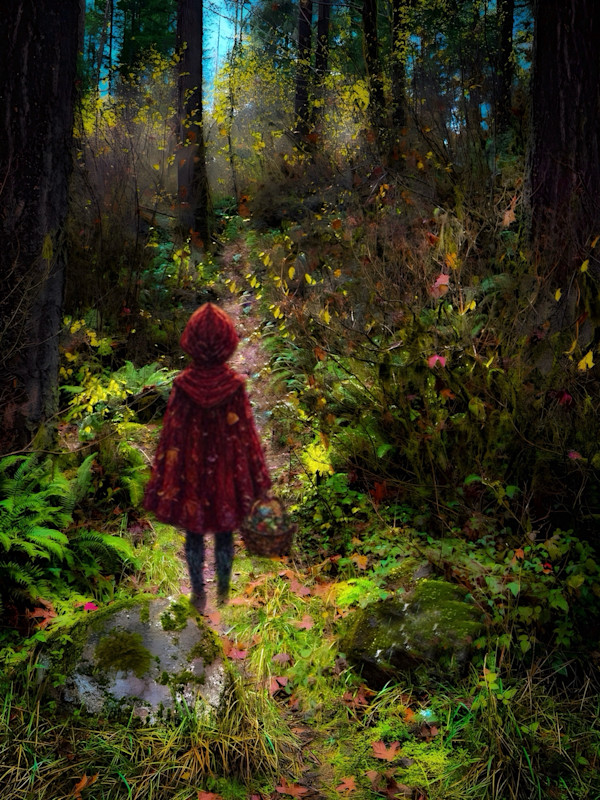 The Walker of Quiet Paths by Sandy Brown Jensen