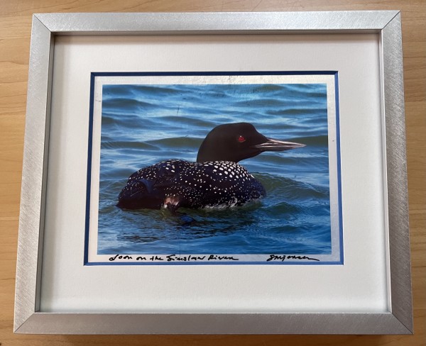 Loon on the Siuslaw River by Sandy Brown Jensen