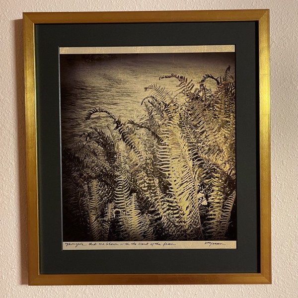 Scent of a Fern by Sandy Brown Jensen, I Dream in Gold