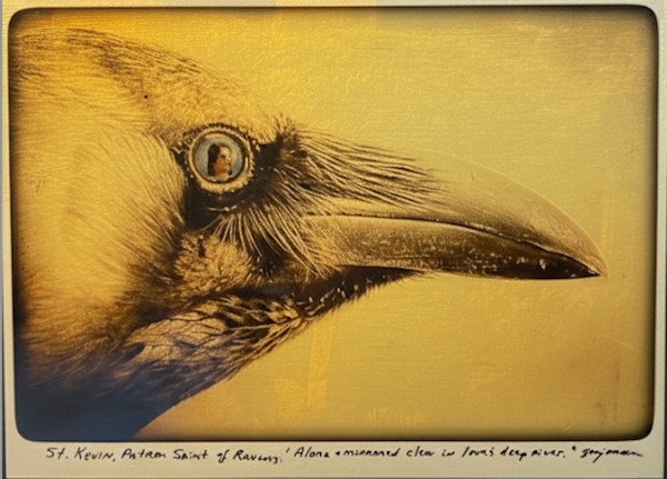 St. Kevin, Patron Saint of Ravens, "Alone and mirrored clear in love's deep river." (Gilded 12" x 15") by Sandy Brown Jensen, Image 2.