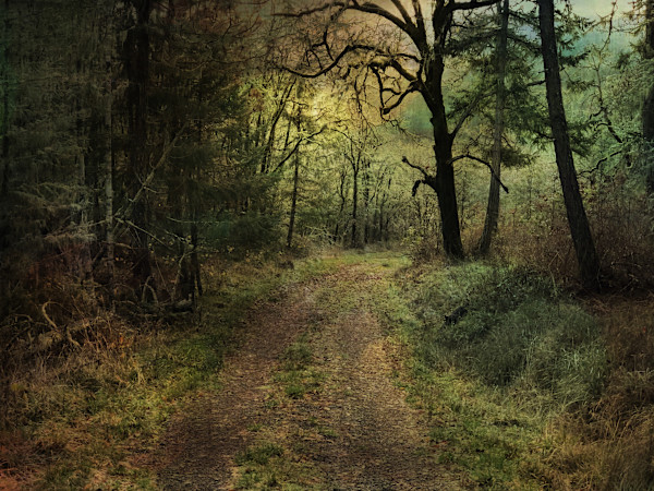 Tender Passage (20.25 x 30.75 Cold Wax) by Sandy Brown Jensen