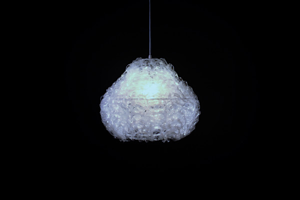 Allium 189 by Bao-Khang Luu