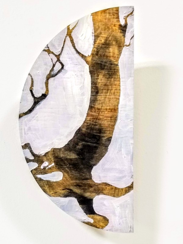 Branch Shadows by Lisa Horlander
