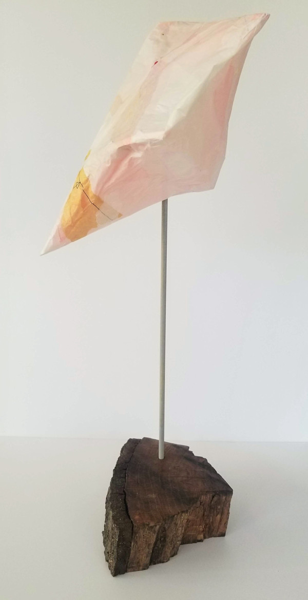 Mending the Surface by Lisa Horlander