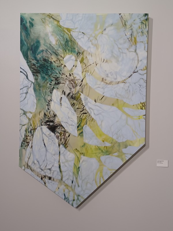 Near Miss by Lisa Horlander