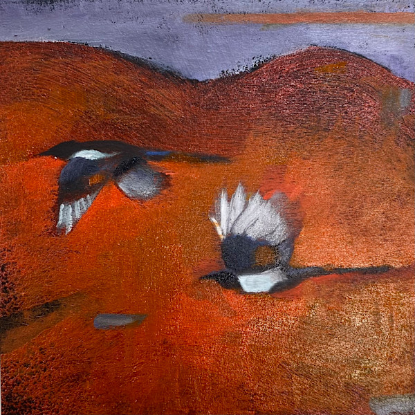flight plan by Janet E Fagan