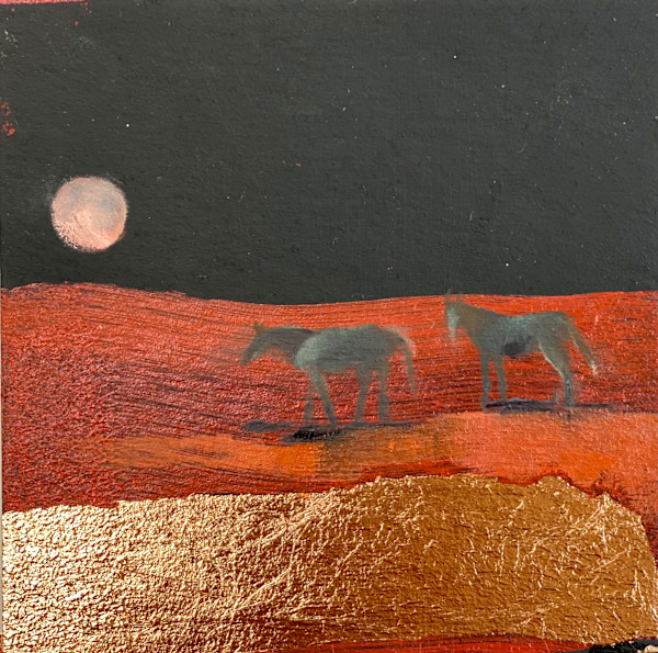 Methow Midnight by Janet E Fagan