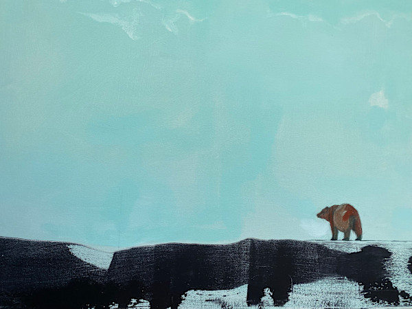 Clarity by Janet E Fagan