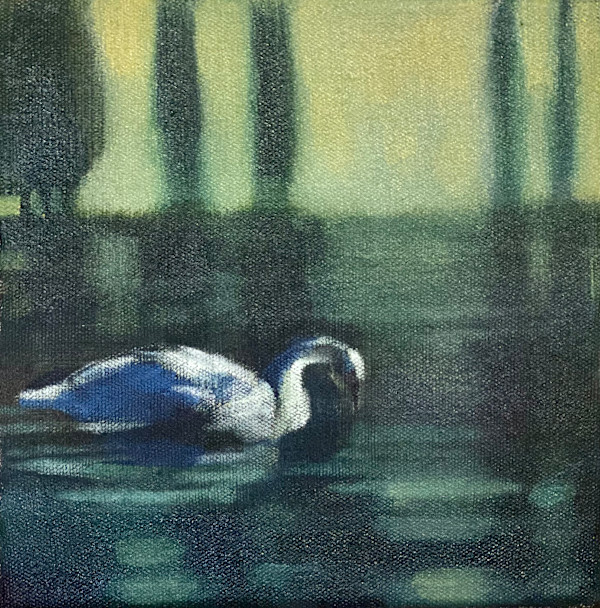 Swan Haven (glide) by Janet E Fagan