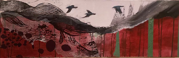 Canyon calling by Janet E Fagan
