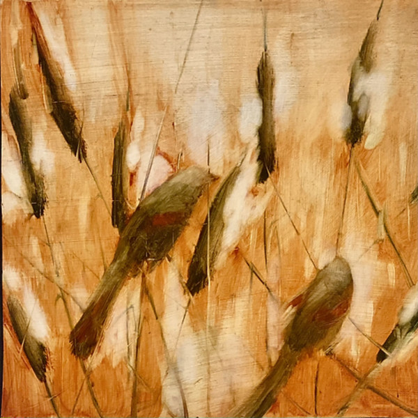 Redwings and Cattails