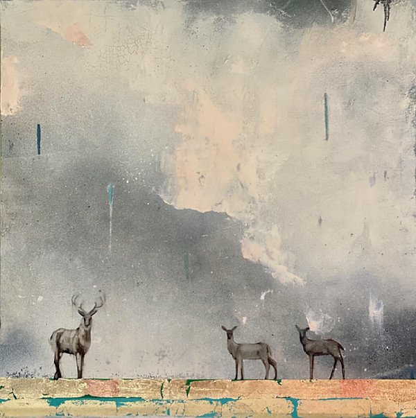 Home Sky by Janet E Fagan