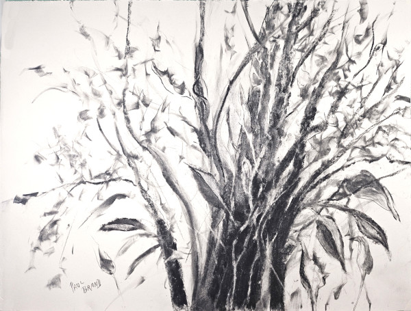 A patch of Jungle by Paul Brand