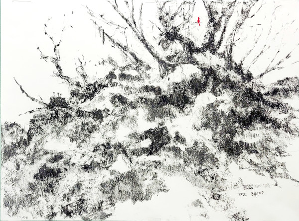 A Rocky Knoll by Paul Brand
