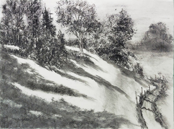 Afternoon at Swan Creek by Paul Brand