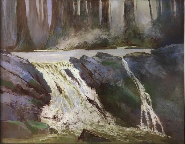 Black Swamp Falls by Paul Brand