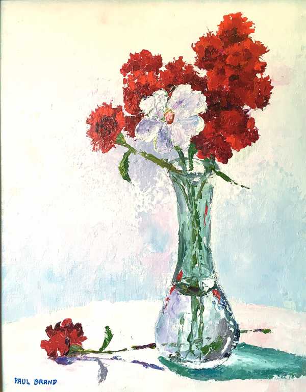 Carnations by Paul Brand