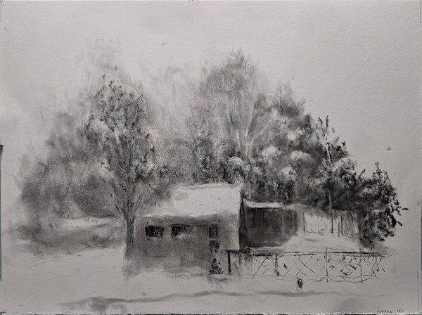 Early December Snow by Paul Brand, Image 1.
