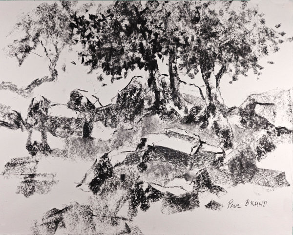 Hillside Scene, Boulder Canyon by Paul Brand
