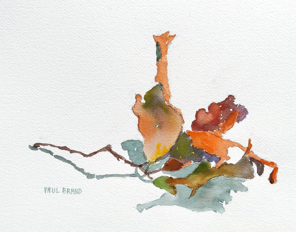 Last Fall by Paul Brand