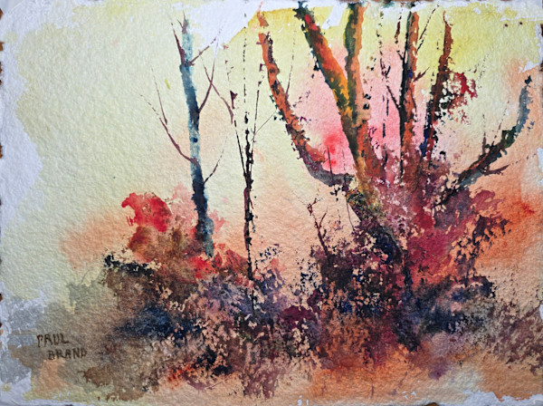 Late in November by Paul Brand