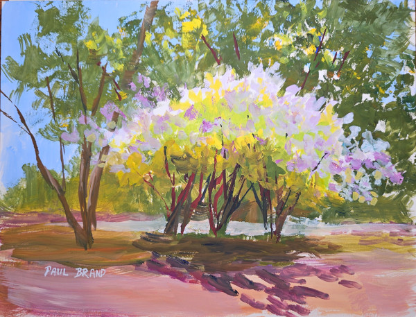 Lilacs and Sun by Paul Brand