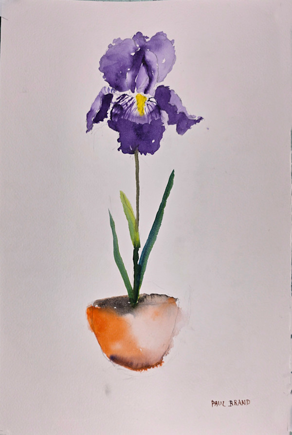 Purple Iris by Paul Brand, Image 1.