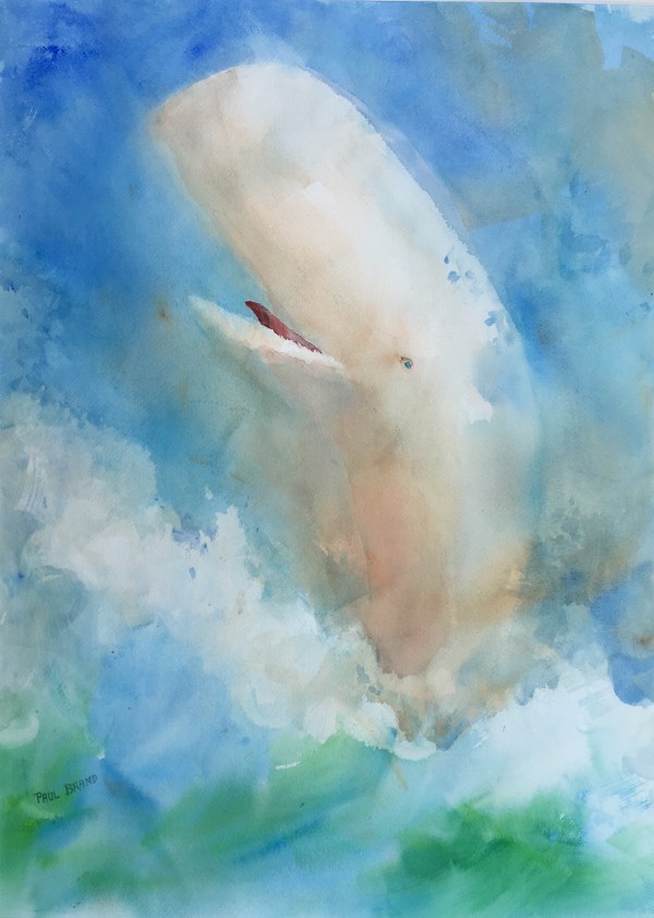 Save the Whales by Paul Brand